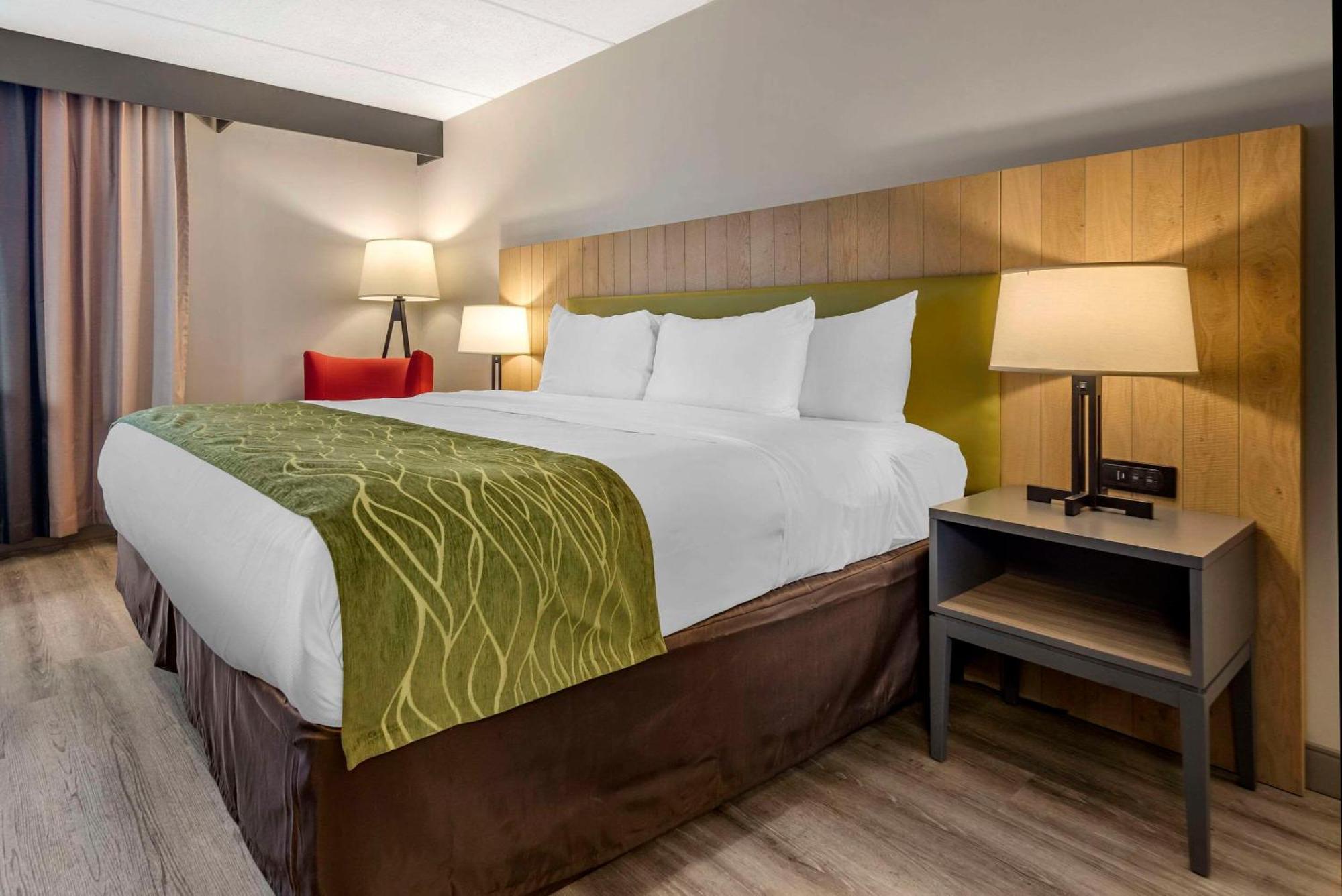 Comfort Inn & Suites Liverpool - Syracuse North Eksteriør billede